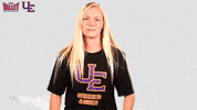 The Valley Mvc GIF by Missouri Valley Conference