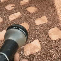 april fools GIF