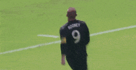 celebrate wayne rooney GIF by D.C. United