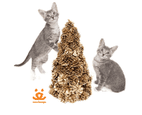 Merry Christmas Dance Sticker by Best Friends Animal Society