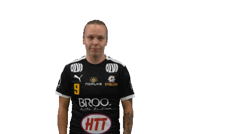 Pittsburgh Steelers Floorball Sticker by F-liiga