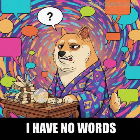 Shiba Inu What GIF by Doge Pound