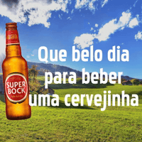 Friends Beer GIF by Super Bock