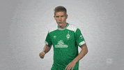 werder bremen cheering GIF by Bundesliga