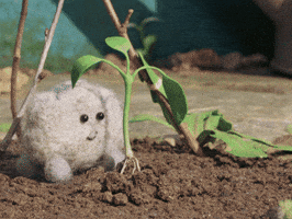 Dieting Fresh Food GIF by Tweedy & Fluff