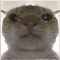 Sad Cat GIF