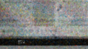 GIF by The Maury Show