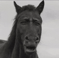 Horse Meme GIF