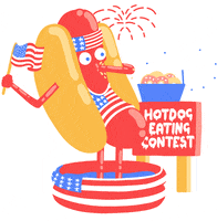 United States Usa GIF by Jelly London