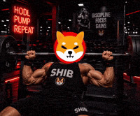 Shib Coin GIF by SHIB GIFS