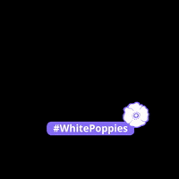 PeacePledgeUnion peace remembrance pacifist remembrance day GIF