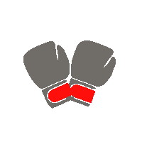 Amsterdam Kickboxing Sticker by Spallys