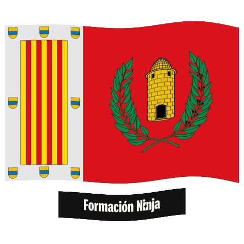 Comunidad Valenciana Flag Sticker by Formación Ninja