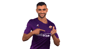 Happy Serie A Sticker by ACF Fiorentina