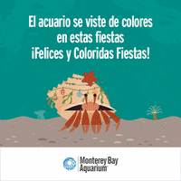 tarjetas de fiestas GIF by Monterey Bay Aquarium