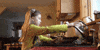 Girl Lol GIF by America's Funniest Home Videos