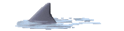 shark STICKER