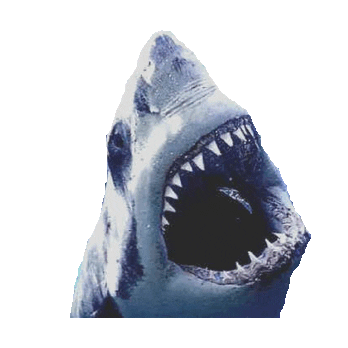 Shark Sticker by imoji