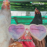 Vibing Its Saturday GIF by Taimi