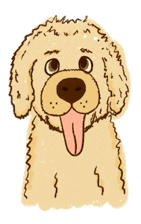 dessi005 dog happy dog labradoodle hungrydog Sticker