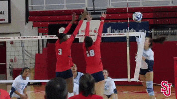 St Johns Volleyball GIF by St. John's Red Storm