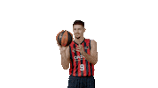 Liga Endesa Spinning Sticker by ACB