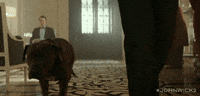 GIF by Warner Bros. UK