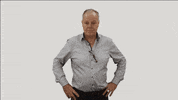 quattroplant quattro bloemenveiling quattroplant quattro plant GIF