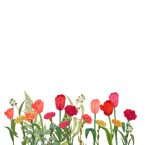 forencos giphyupload 원더랜드 포렌코즈 Sticker