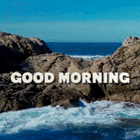 Good Morning