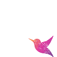 skincare hummingbird Sticker by Lila Naturals