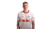 Red Bull Dive Sticker by RB Leipzig