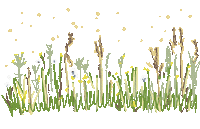 Pollen Allergie Sticker by Nadine Chaignat