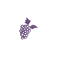 swipe up santa barbara Sticker by Grapeline Wine Tours