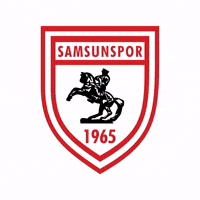 King Of The North GIF by YILPORT SAMSUNSPOR