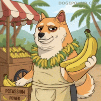 Shiba Inu Banana GIF by Doge Pound