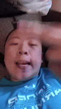 Chicago Niche GIF