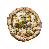 Food Pizza Sticker by Pizzeria Cotto e Mangiato