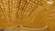 Surprise Uncover GIF by The Great Pottery Throw Down