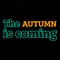 Autumn Clothes GIF by Zitoon Store