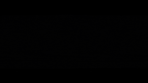 woman driving GIF by Kesha