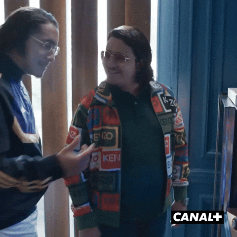 Canal Plus Series GIF by CANAL+
