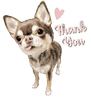 Dog Thank You Sticker