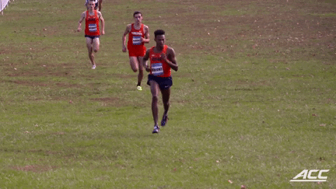 accsports giphyupload GIF