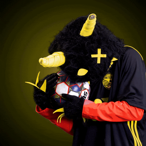 Soccer Mascot GIF by New Mexico United