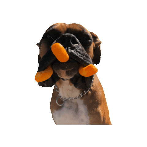 loutheboxerdog giphyupload dog boxer lou Sticker
