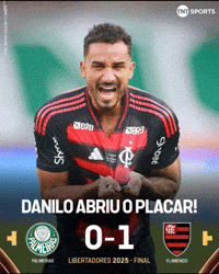 Flamengo Edite GIF