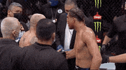 Alexander Volkanovski Sport GIF by UFC