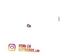 Sushantpalofficialboi Sticker by BORN ON INSTAGRAM