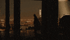 Robert Pattinson Action GIF by The Batman